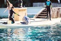 Female dolphin trainer playing with a dolphin at Seaworld in Orlando, Florida