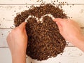 Female drawing a heart symbol in the pile of organic buckwheat husks on a wooden planks background Royalty Free Stock Photo