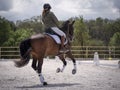 Female dressage rider training canter gait or gallop.