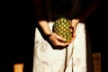 Female dressed in linen dress stands in the shade and holds ripe pineapple in her nands bringing it to light. Fashion