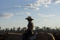 Female drover herding cattle Royalty Free Stock Photo