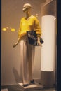 Female dummy in fashionable clothes in a show-window of a magazmn