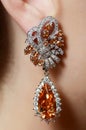 Female ear in jewelry earrings