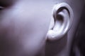 Female ear portrait of a mannequin Royalty Free Stock Photo