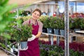 Saleswoman of flower shop near shelf with hebe chooses pot with plant to send for customer