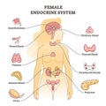 Female endocrine system with inner glands, pancreas and ovary outline concept Royalty Free Stock Photo