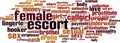 Female escort word cloud Royalty Free Stock Photo