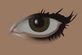 Female eye Royalty Free Stock Photo