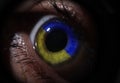 Female eye in blue and yellow iris color of Ukraine flag closeup