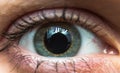 Female eye close up macro photo Royalty Free Stock Photo