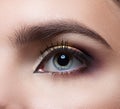 Female eye close-up. Perfect makeup and eyebrows. Beautiful gray eyes Royalty Free Stock Photo