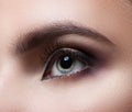 Female eye close-up. Perfect makeup and eyebrows. Beautiful gray eyes Royalty Free Stock Photo