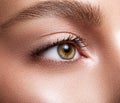 Female eye close-up.  Perfect makeup and eyebrows. Beautiful green-brown eyes Royalty Free Stock Photo