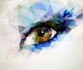 Female eye Royalty Free Stock Photo