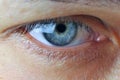 Female eye extreme close-up Royalty Free Stock Photo