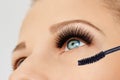 Female eye with extreme long eyelashes and brush of mascara. Make-up, cosmetics, beauty Royalty Free Stock Photo