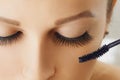 Female eye with extreme long eyelashes and brush of mascara. Make-up, cosmetics, beauty