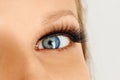 Female eye with extreme long false eye lashes. Eyelash extensions, make-up, cosmetics, beauty Royalty Free Stock Photo