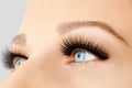 Female eye with extreme long false eyelashes and black liner. Eyelash extensions, make-up, cosmetics, beauty Royalty Free Stock Photo