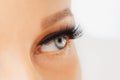 Female eye with extreme long false eyelashes and black liner. Eyelash extensions, make-up, cosmetics, beauty Royalty Free Stock Photo