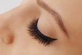 Female eye with extreme long false eyelashes and black liner. Eyelash extensions, make-up, cosmetics, beauty Royalty Free Stock Photo