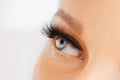 Female eye with extreme long false eyelashes and black liner. Eyelash extensions, make-up, cosmetics, beauty Royalty Free Stock Photo