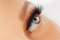 Female eye with extreme long false eyelashes. Eyelash extensions, make-up, cosmetics, beauty Royalty Free Stock Photo