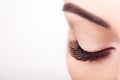 Female Eye with Extreme Long False Eyelashes Royalty Free Stock Photo