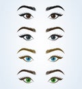 Female eye and eyebrow. sexy eyes Simple vector modern design illustration