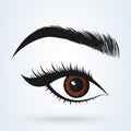 Female eye and eyebrow. sexy eyes Simple vector modern design illustration