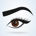 Female eye and eyebrow. sexy eyes Simple vector modern design illustration