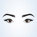 Female eye and eyebrow. sexy eyes Simple vector modern design illustration