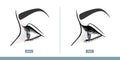 Female Eye Before and After Eyelash Extension. Comparison of Natural and Volume Eyelashes. Side View. Infographic Vector