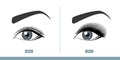 Female Eye Before and After Eyelash Extension. Comparison of Natural vs. Volume Eyelashes. Infographic Vector