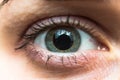 Female eye with lashes close up Royalty Free Stock Photo