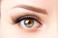 Female eye with long eyelashes, beautiful makeup and light brown eyebrow close-up. Eyelash extensions, lamination, microblading,