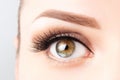 Female eye with long eyelashes, beautiful makeup and light brown eyebrow close-up. Eyelash extensions, lamination, microblading,