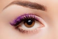 Female eye with long eyelashes close up Royalty Free Stock Photo