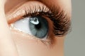 Female eye with long eyelashes close up. Closeup shot of female Royalty Free Stock Photo
