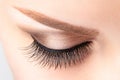 Female eye with long false eyelashes, beautiful makeup and light brown eyebrow Royalty Free Stock Photo