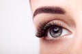 Female eye with long false eyelashes Royalty Free Stock Photo