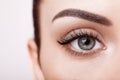 Female eye with long false eyelashes Royalty Free Stock Photo