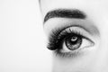 Female eye with long false eyelashes Royalty Free Stock Photo