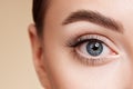 Female eye with long false eyelashes Royalty Free Stock Photo