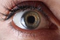 Female eye with permanent eyelid makeup closeup