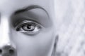 Female eye portrait of a mannequin Royalty Free Stock Photo