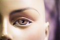 Female eye portrait of a mannequin Royalty Free Stock Photo