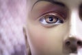 Female eye portrait of a mannequin Royalty Free Stock Photo