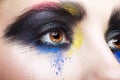 Female eye with unusual artistic painting makeup Royalty Free Stock Photo