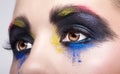 Female eye with unusual artistic painting makeup Royalty Free Stock Photo